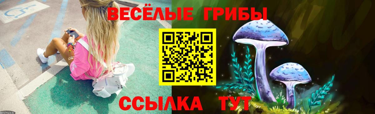 Псков  Галлюциногенные грибы прущие грибы  Вход с VPN 